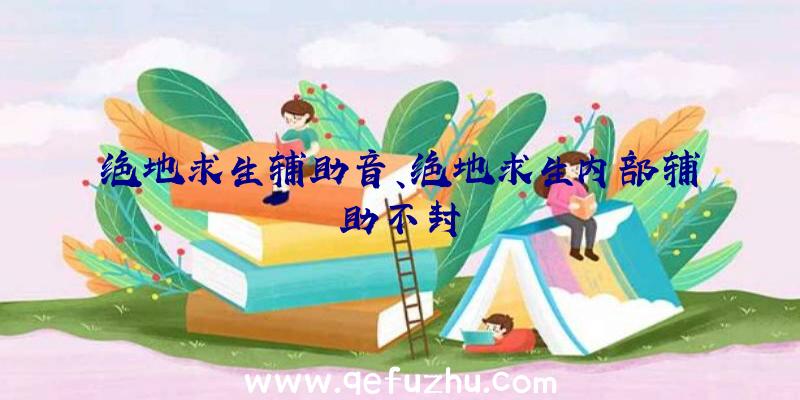 绝地求生辅助音、绝地求生内部辅助不封