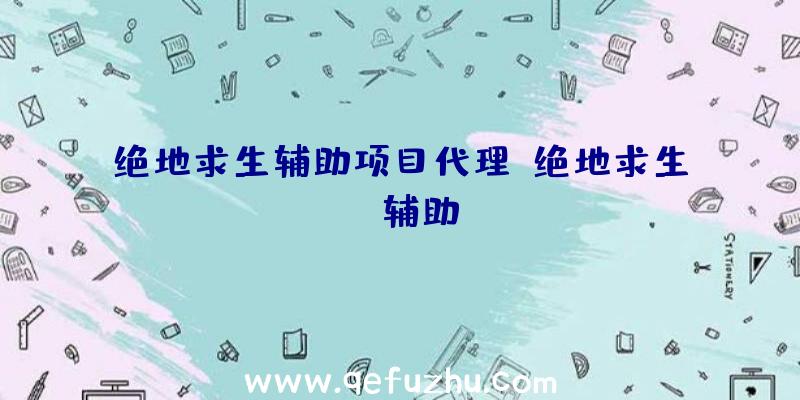 绝地求生辅助项目代理、绝地求生wk辅助