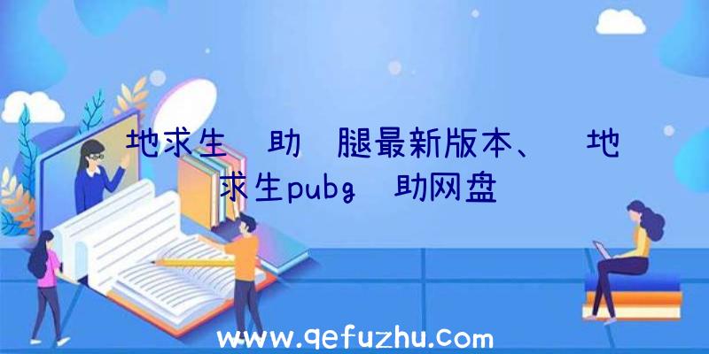 绝地求生辅助鸡腿最新版本、绝地求生pubg辅助网盘