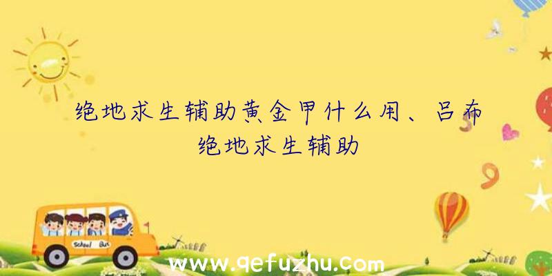 绝地求生辅助黄金甲什么用、吕布绝地求生辅助