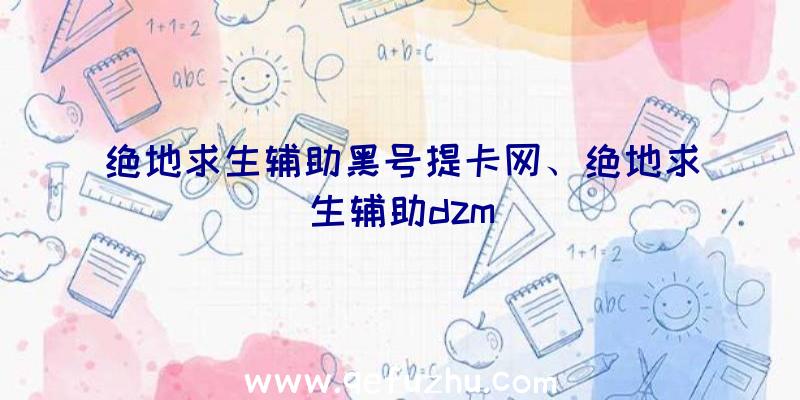 绝地求生辅助黑号提卡网、绝地求生辅助dzm