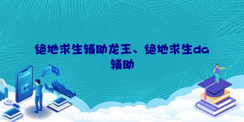 绝地求生辅助龙王、绝地求生da辅助