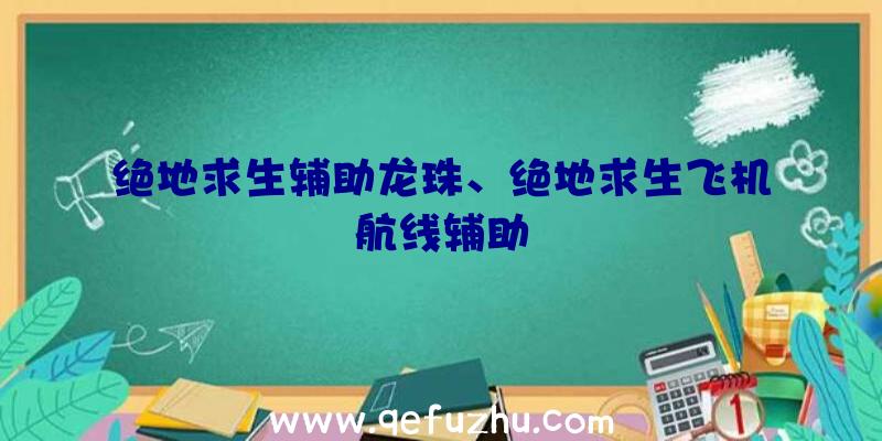 绝地求生辅助龙珠、绝地求生飞机航线辅助