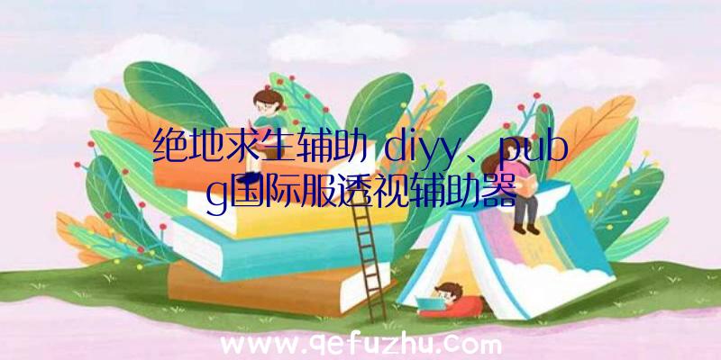 绝地求生辅助+diyy、pubg国际服透视辅助器