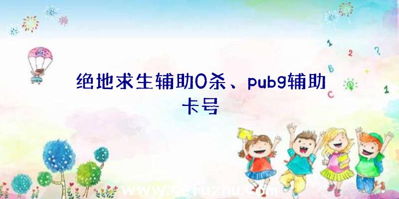 绝地求生辅助0杀、pubg辅助卡号