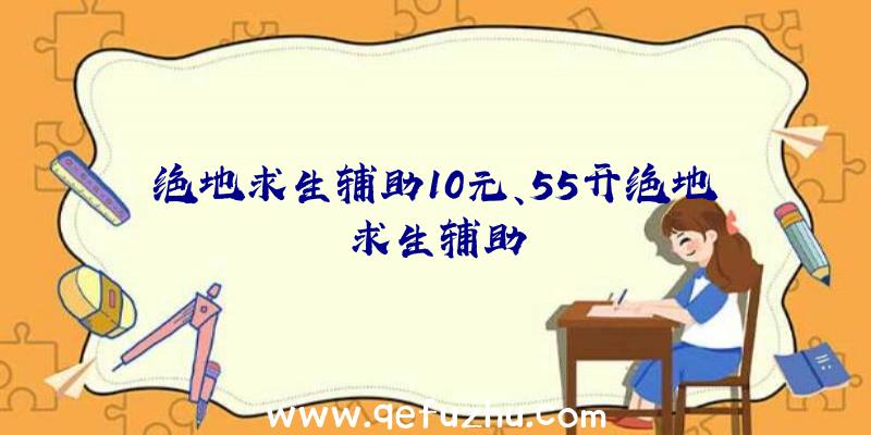 绝地求生辅助10元、55开绝地求生辅助