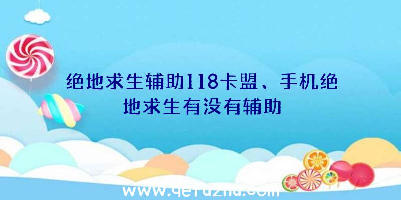 绝地求生辅助118卡盟、手机绝地求生有没有辅助