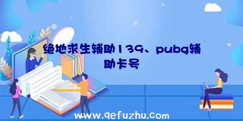 绝地求生辅助139、pubg辅助卡号