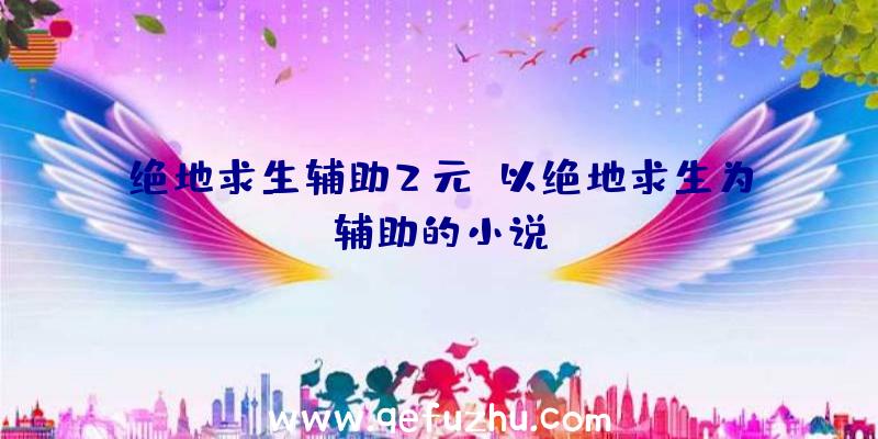 绝地求生辅助2元、以绝地求生为辅助的小说