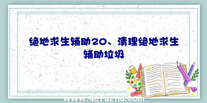 绝地求生辅助20、清理绝地求生辅助垃圾