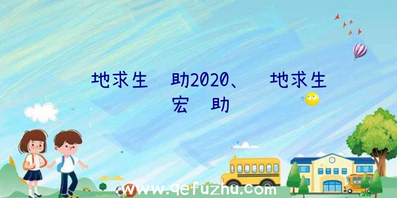 绝地求生辅助2020、绝地求生宏辅助