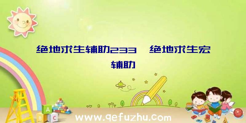 绝地求生辅助233、绝地求生宏辅助