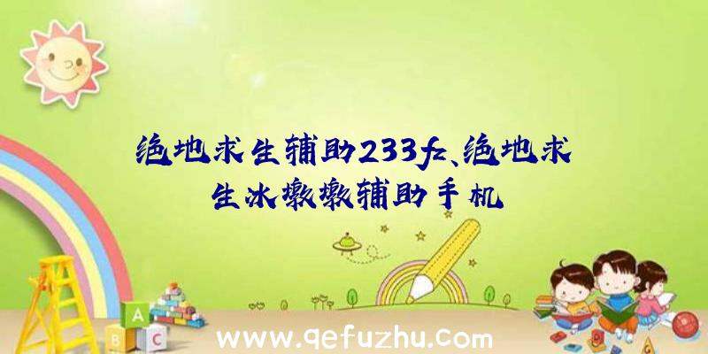 绝地求生辅助233fz、绝地求生冰墩墩辅助手机