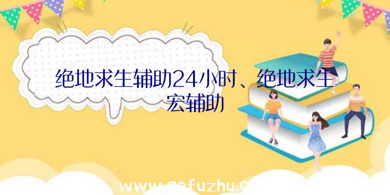 绝地求生辅助24小时、绝地求生宏辅助