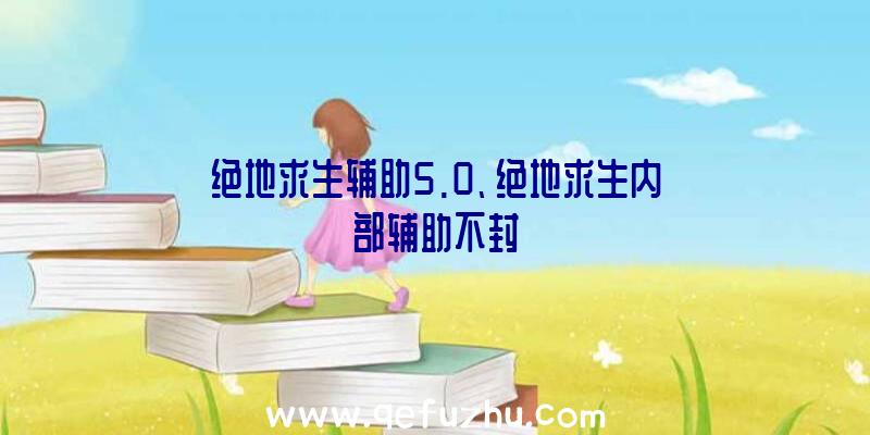 绝地求生辅助5.0、绝地求生内部辅助不封