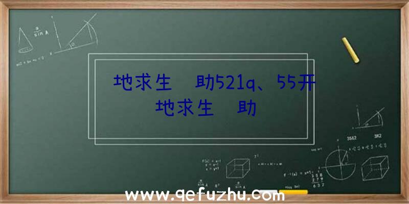 绝地求生辅助521q、55开绝地求生辅助