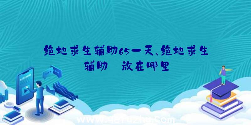 绝地求生辅助65一天、绝地求生辅助