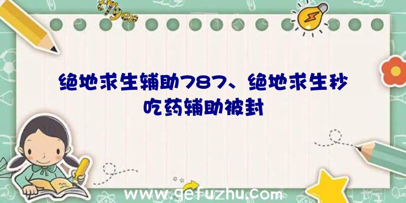 绝地求生辅助787、绝地求生秒吃药辅助被封