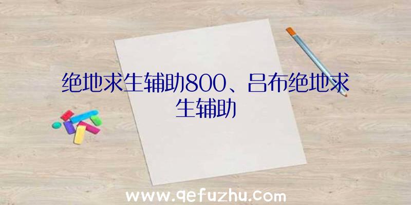 绝地求生辅助800、吕布绝地求生辅助