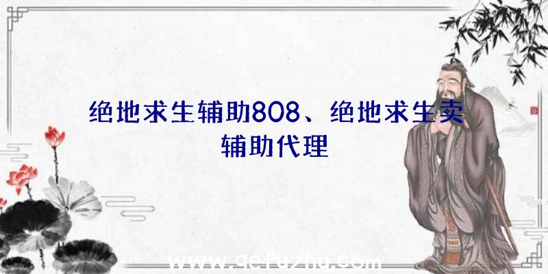 绝地求生辅助808、绝地求生卖辅助代理