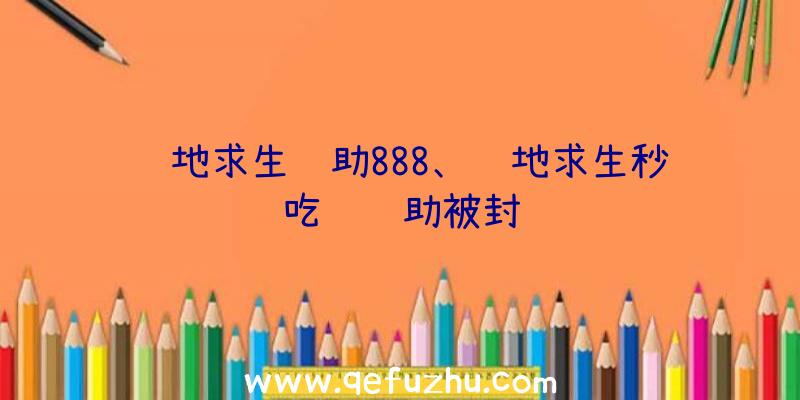 绝地求生辅助888、绝地求生秒吃药辅助被封