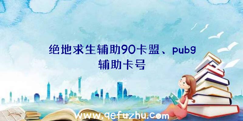 绝地求生辅助90卡盟、pubg辅助卡号