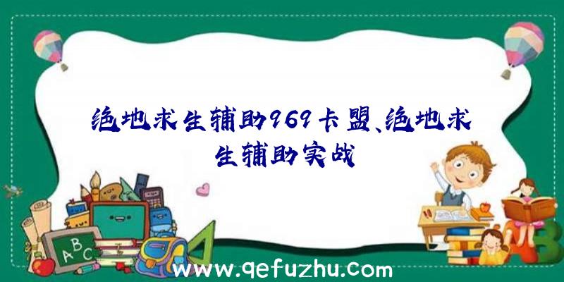 绝地求生辅助969卡盟、绝地求生辅助实战