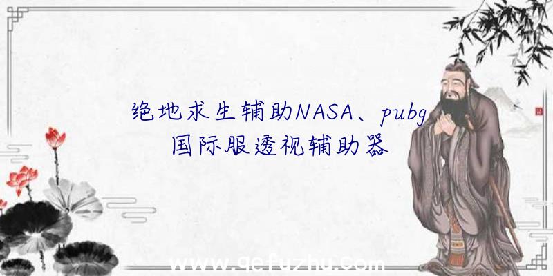 绝地求生辅助NASA、pubg国际服透视辅助器