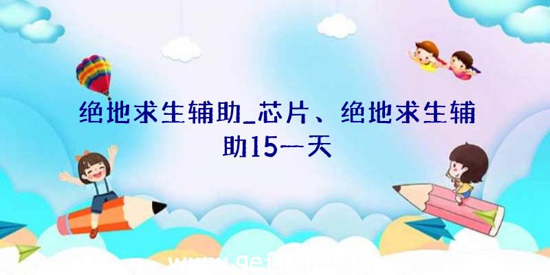 绝地求生辅助_芯片、绝地求生辅助15一天