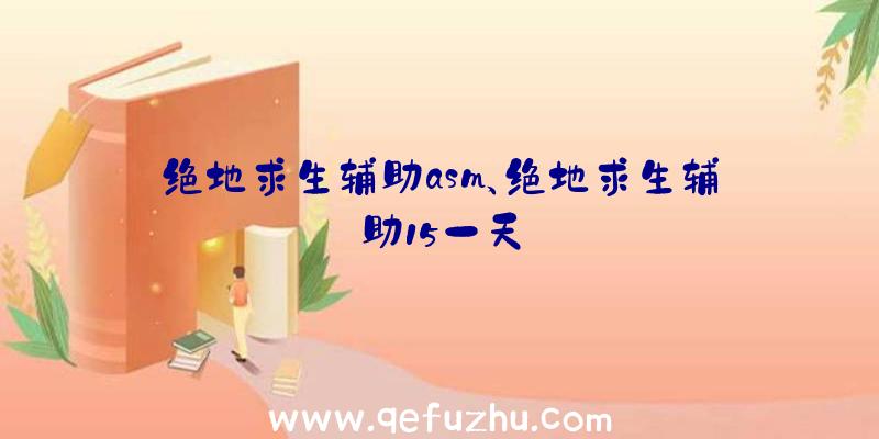 绝地求生辅助asm、绝地求生辅助15一天