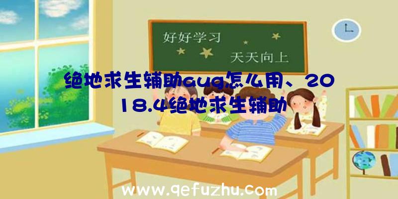 绝地求生辅助aug怎么用、2018.4绝地求生辅助