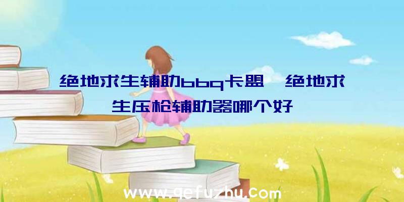 绝地求生辅助bbq卡盟、绝地求生压枪辅助器哪个好