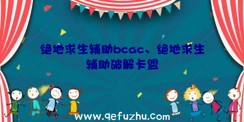 绝地求生辅助bcac、绝地求生辅助破解卡盟