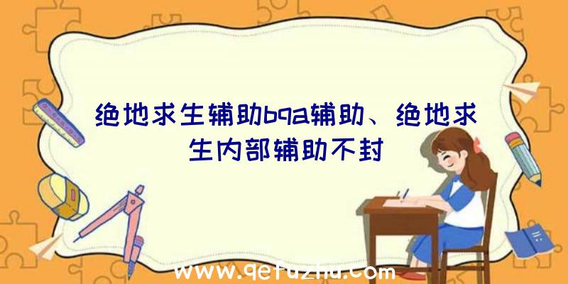 绝地求生辅助bqa辅助、绝地求生内部辅助不封