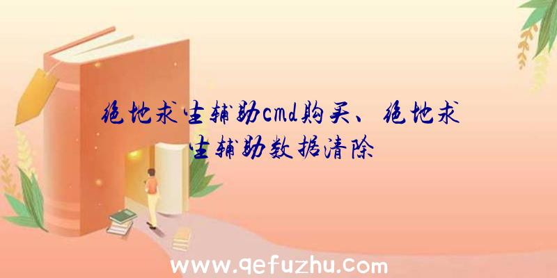 绝地求生辅助cmd购买、绝地求生辅助数据清除