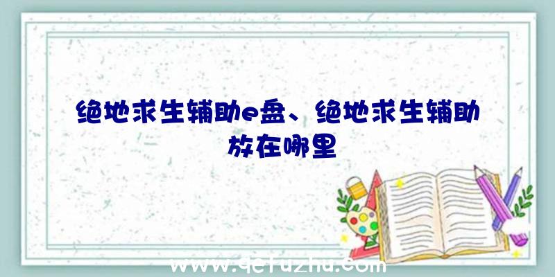 绝地求生辅助e盘、绝地求生辅助