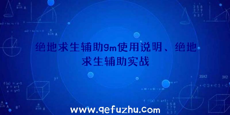 绝地求生辅助gm使用说明、绝地求生辅助实战