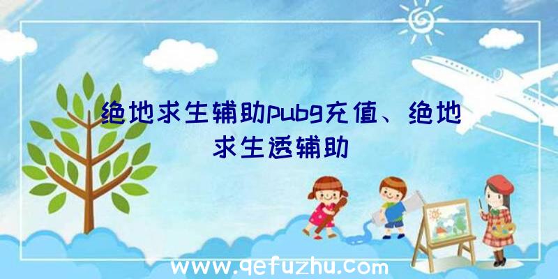 绝地求生辅助pubg充值、绝地求生透辅助