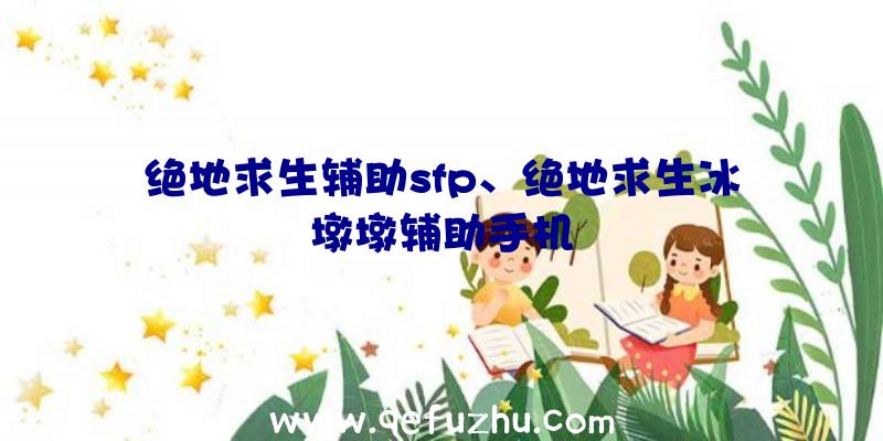 绝地求生辅助sfp、绝地求生冰墩墩辅助手机