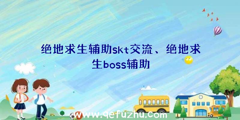 绝地求生辅助skt交流、绝地求生boss辅助