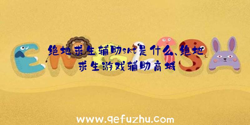 绝地求生辅助skt是什么、绝地求生游戏辅助商城