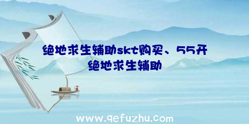 绝地求生辅助skt购买、55开绝地求生辅助