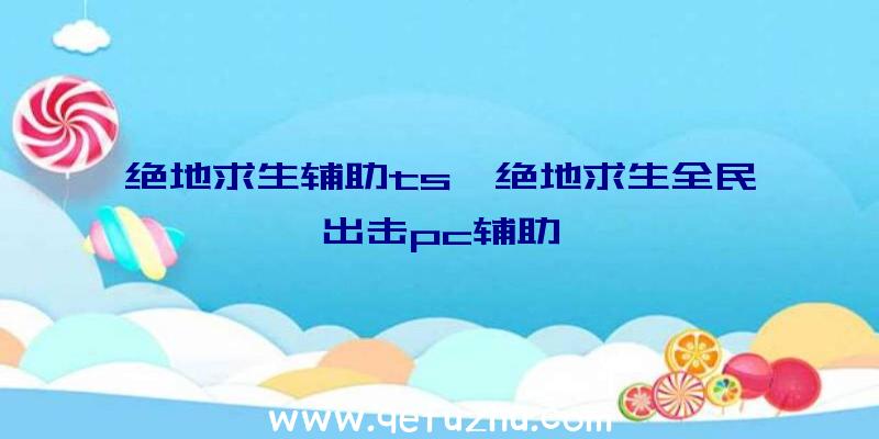 绝地求生辅助ts、绝地求生全民出击pc辅助