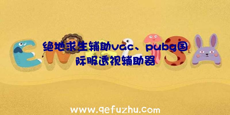 绝地求生辅助vac、pubg国际服透视辅助器