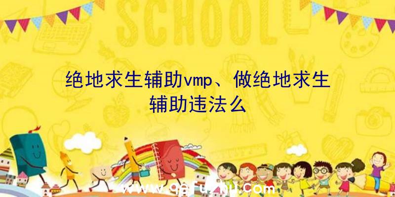 绝地求生辅助vmp、做绝地求生辅助违法么