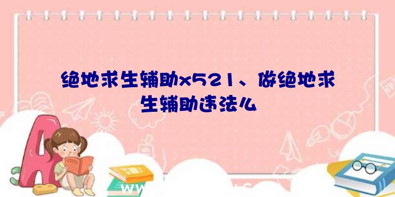 绝地求生辅助x521、做绝地求生辅助违法么