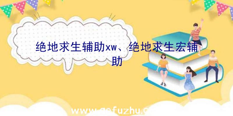 绝地求生辅助xw、绝地求生宏辅助