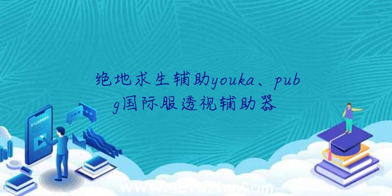 绝地求生辅助youka、pubg国际服透视辅助器