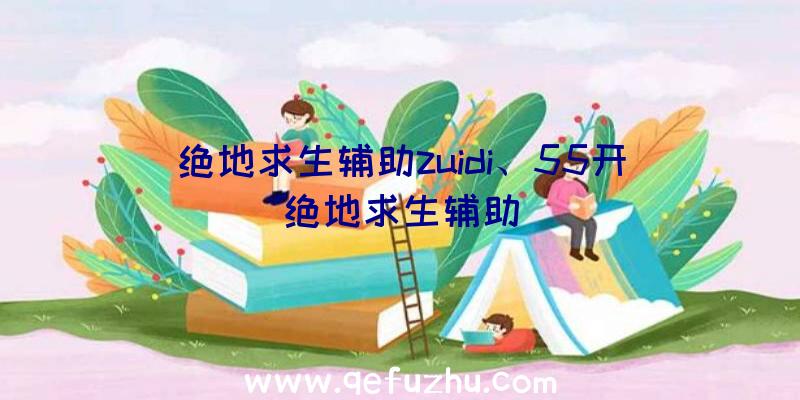 绝地求生辅助zuidi、55开绝地求生辅助