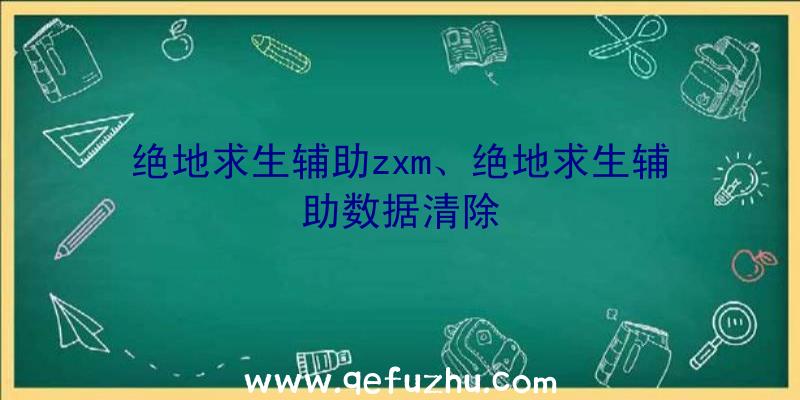 绝地求生辅助zxm、绝地求生辅助数据清除